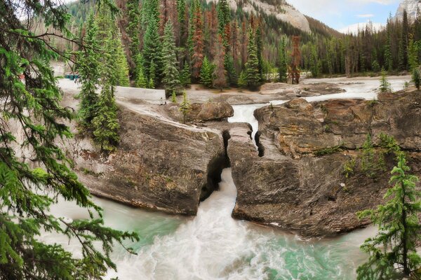 Rivière de montagne qui coule à travers les rochers