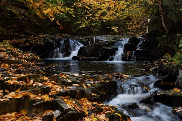 Una piccola cascata in cui galleggiano le foglie d autunno