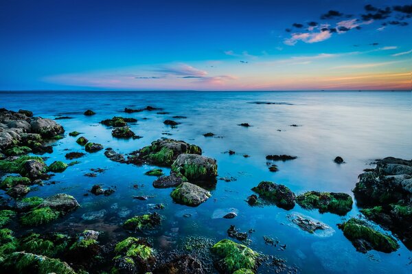 Rocks in the sea at sunset