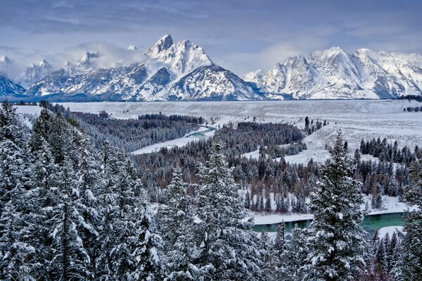 Snow-covered landscape with a forest valley and high mountains