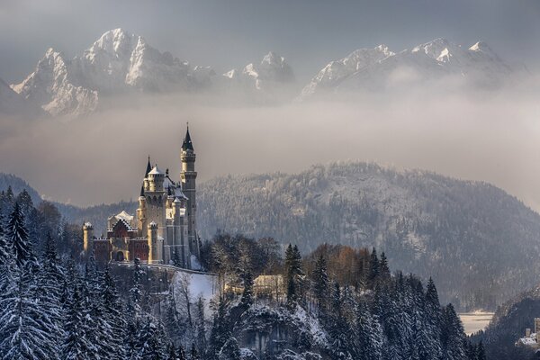 Château de Neuschwanstein en Allemagne. Arbres enneigés et montagnes. Hiver en Bavière