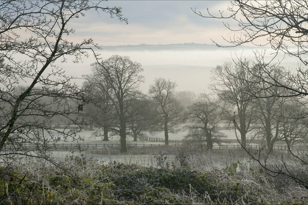 Landschaft vor dem Hintergrund der Felder im Frost