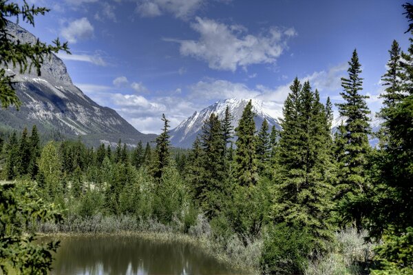 Bosque y montañas alrededor del lago en Canadá