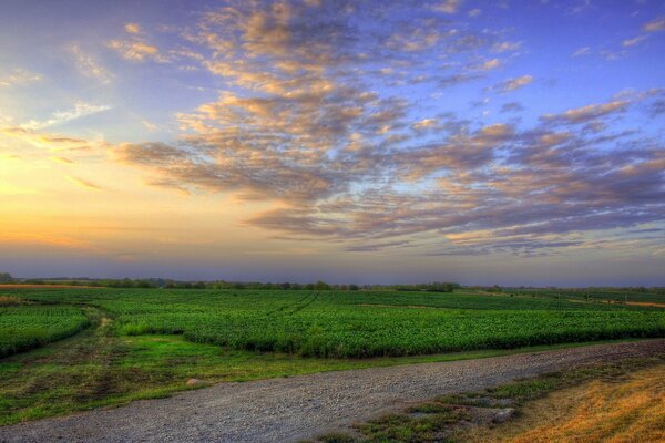 Coucher de soleil extraordinaire sur le terrain