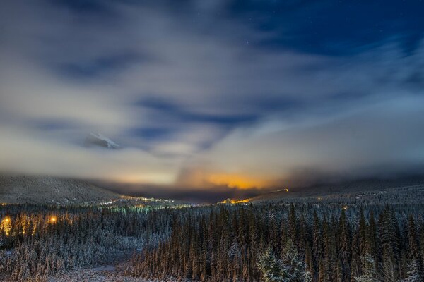 Kanadischer Winterwald bei Nacht