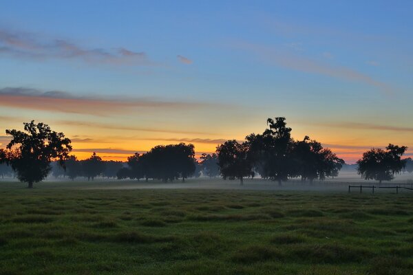 Sonnenuntergang im Feld, Sommerlandschaft