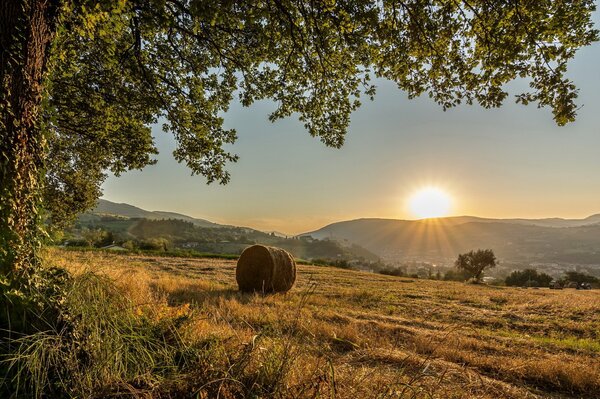 Sonnenaufgang in den Feldern Italiens