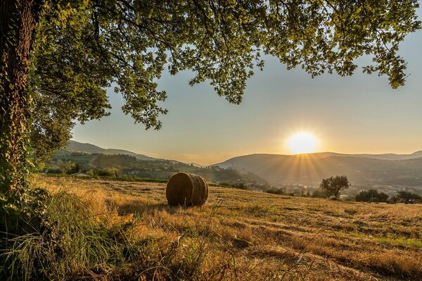 Восход солнца в полях италии