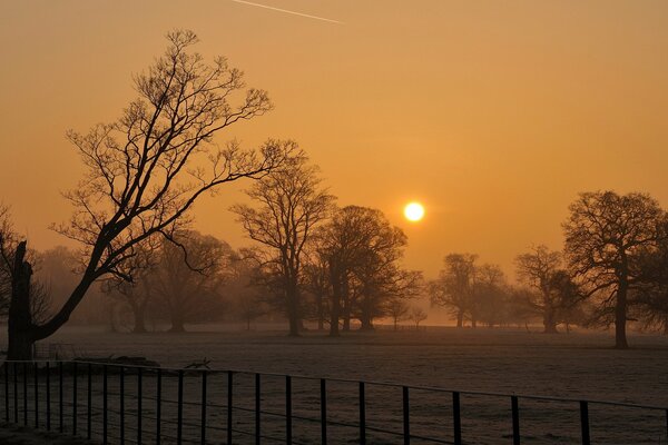 Puesta de sol de invierno, niebla en el campo