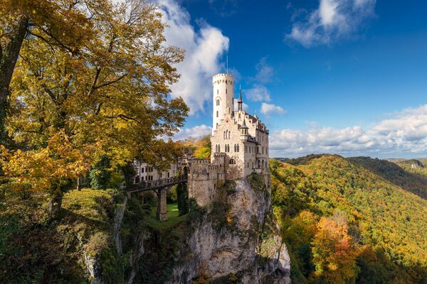 Zamek w jesiennym lesie na wzgórzu