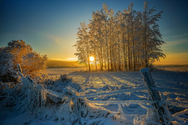 Derrapes de nieve. Valla inclinada