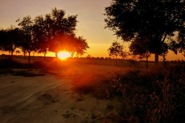 Naturaleza en medio de una puesta de sol roja