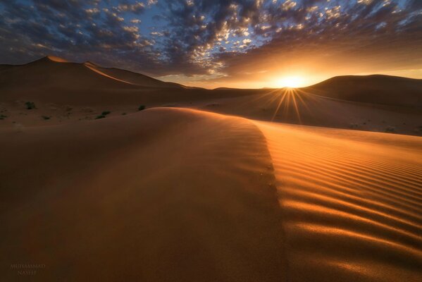 Désert. Dunes. Ciel. Soleil