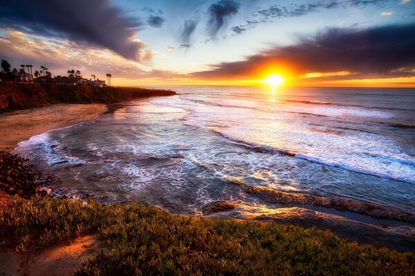 Côte avec des palmiers à San Diego. Coucher de soleil et la mer