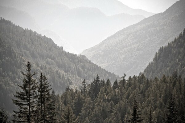 Paesaggio di montagna nella foschia grigia