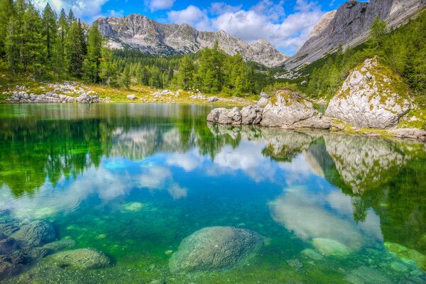 Lac de montagne transparent entouré de forêt