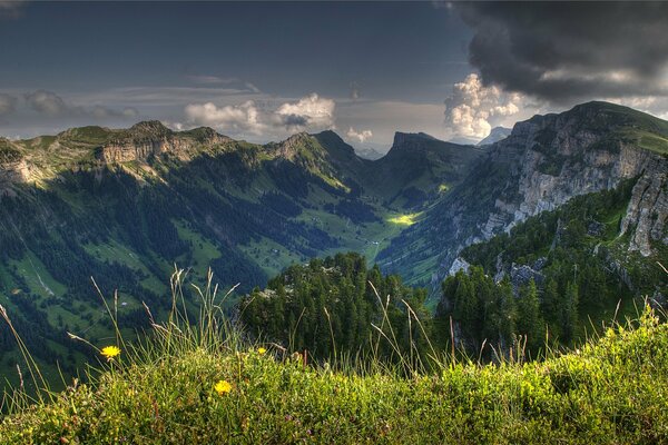 Szczwecarskie widoki górskie. Trawa i kwiaty