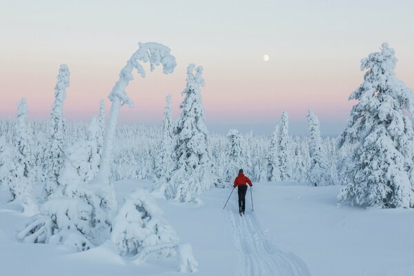 Sciatore e bellezza della neve della Finlandia