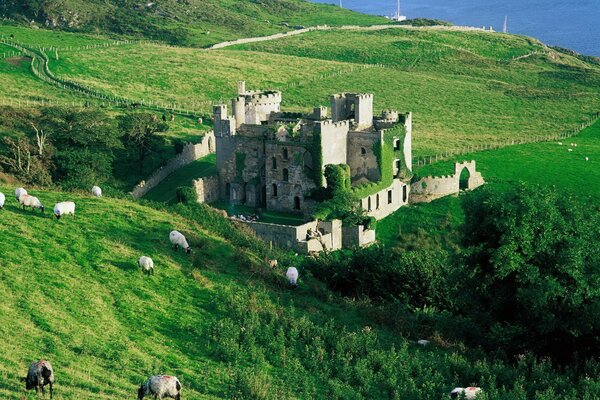 Animals graze near the castle in the mountains