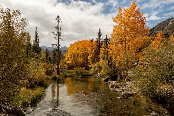 Árboles de otoño en el lago Sabrina en Nevada