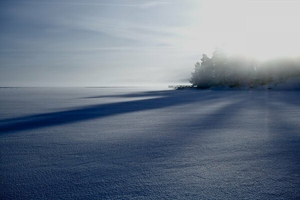 Winter neblige Feldlandschaft