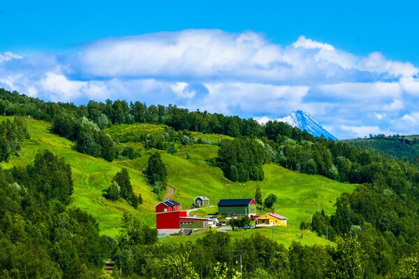 Village norvégien près de la pente avec la forêt