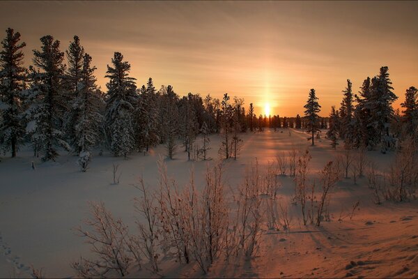 Winterlandschaft des Sonnenuntergangs in der Taiga