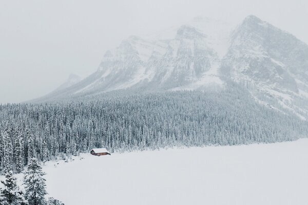 Forêt d hiver au pied des montagnes sur le lac Louise au Canada