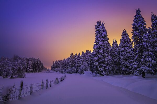 A deserted road in winter around the forest