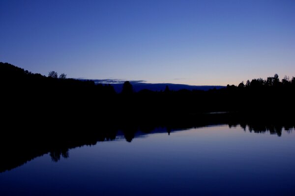 Dawn over a forest lake in blue tones