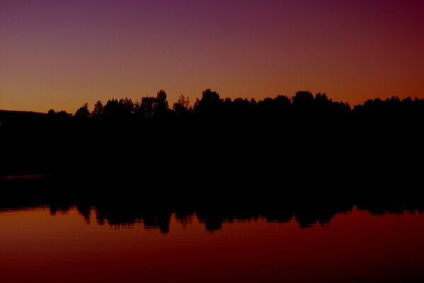 Sonnenuntergang über dem Waldsee