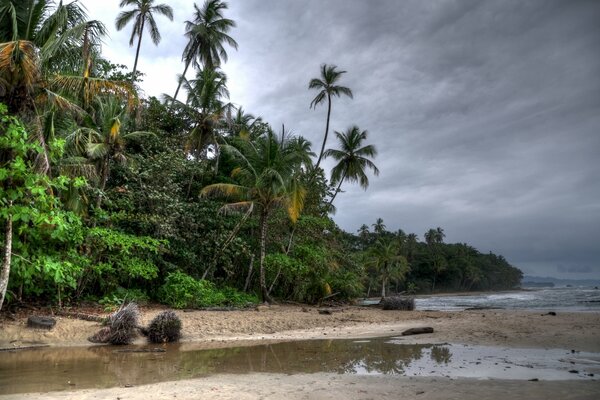 Es gibt Wolken am Strand und Palmen am Himmel