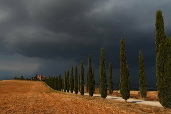 Dark sky over a yellow road