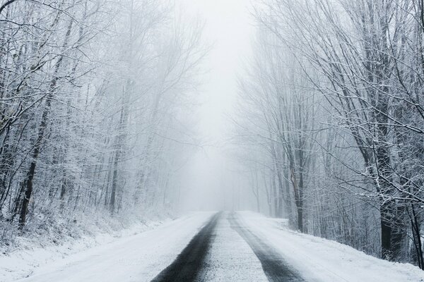 Landscape the first snow on the road