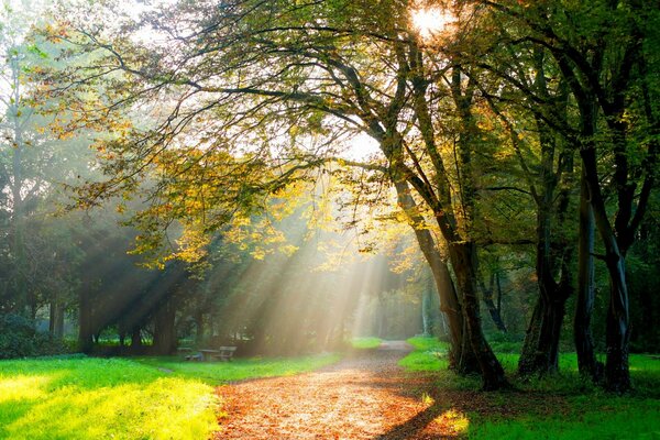 Herbstpark in der Sonne