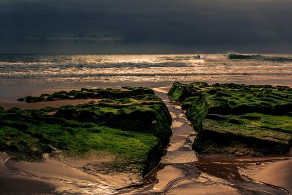 Ocean at sunset, lonely surfer