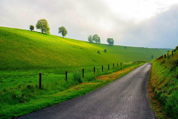 Strada che conduce alle montagne oltre gli alberi