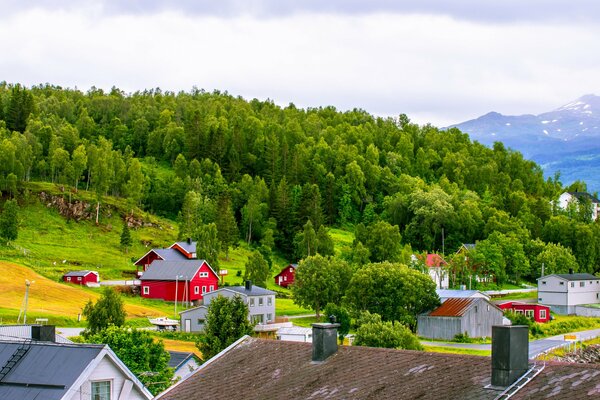 Bright houses on the mountainside in Norway