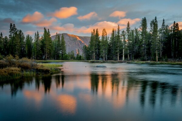 Captura en las montañas del parque nacional de los Estados Unidos