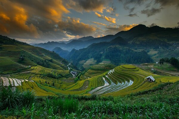 Fields on the hills in summer in China