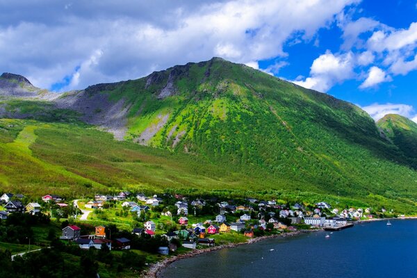 Collines verdoyantes de Norvège. Baie maritime