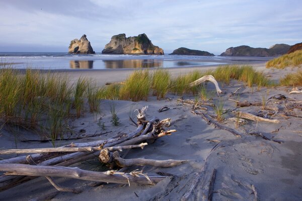 La paz de nueva Zelanda de la playa matinaarennnnnnnnnnnnn