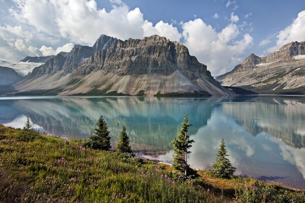 Flores inusuales en un lago en Canadá. Montañas y lago