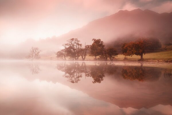Розовый туман на озере в горах