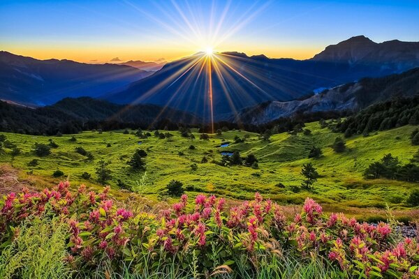 The rays of the sun on a mountain meadow