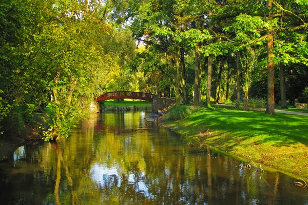 A river in a park with a bridge and beautiful trees