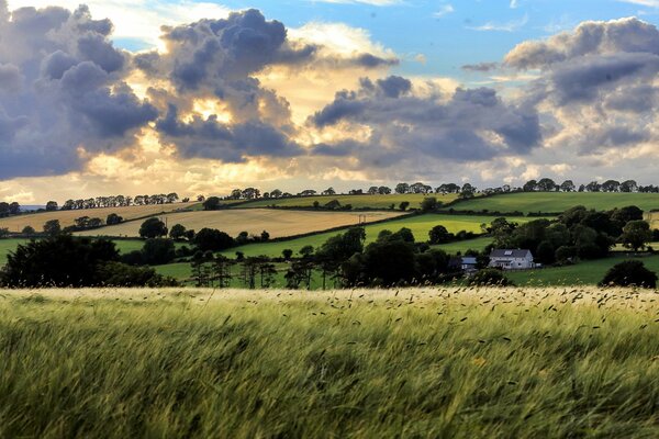 Sommerlandschaft mit unglaublich schönen Wolken am Himmel