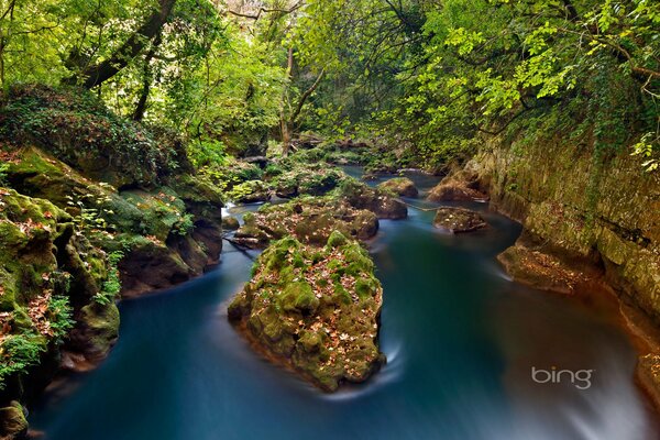 Grandi pietre nel lago della foresta