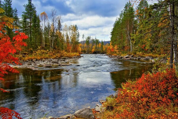 Bright autumn trees on a rocky shore near a transparent pond