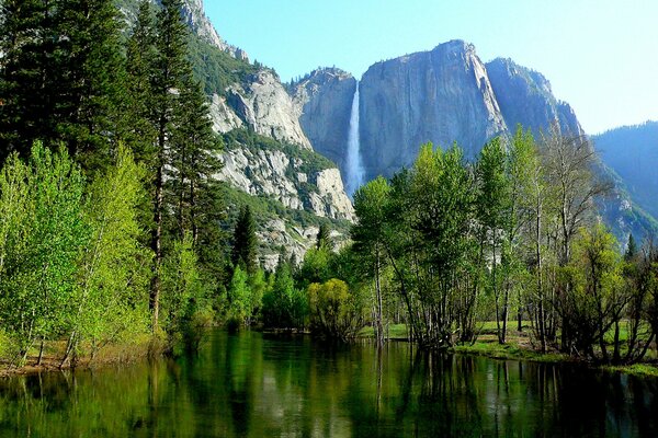Park Narodowy Yosemite z drzewami i klifami